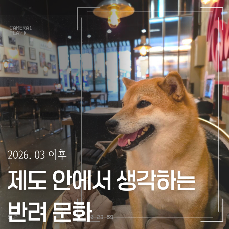  2026년 3월 이후, 반려견 동반 식당을 제도 안에서 생각한다는 것