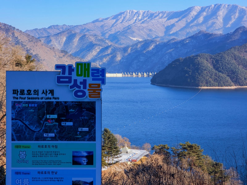 사진 3