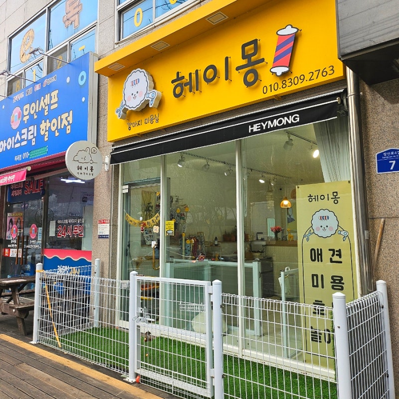 사진 2