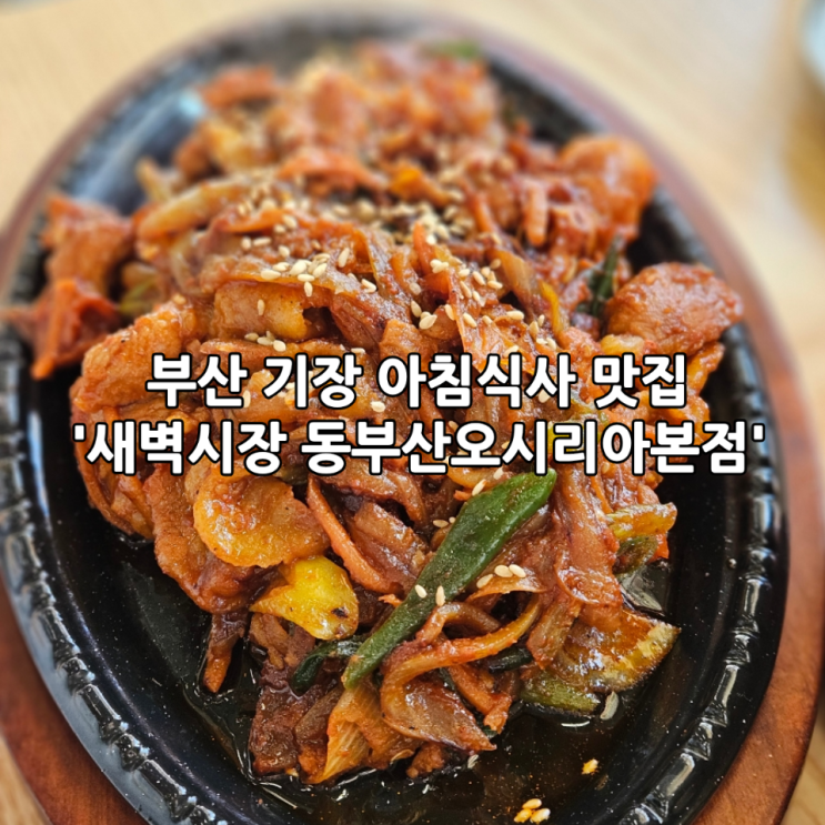  부산 기장 아침식사 맛집 '새벽시장 동부산오시리아본점'｜이른 아침에도 든든하게 먹을 수 있는 가게