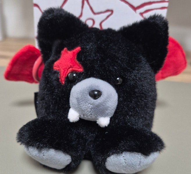 Review: ENHYPEN Vampire Voice Keyring (Heeseung Version)