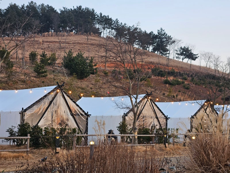 고창 상하농원 글램핑 숙소 스파 수영장 조식까지