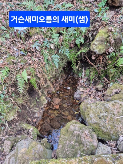 사진 2