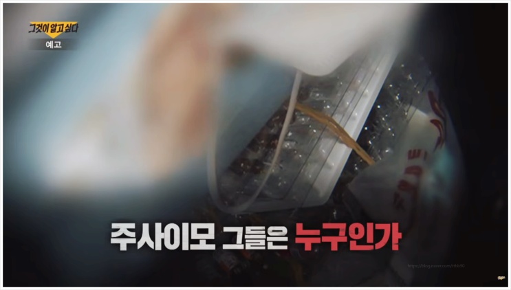  그알 의사 면허 없는 주사 이모에게 내 몸을 맡긴다고? 수법 분석