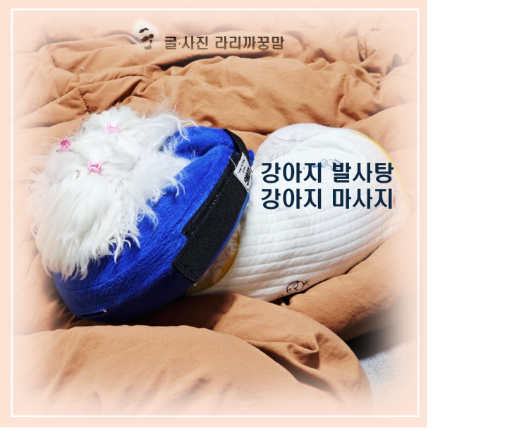  "엄마, 넥튜브 싫어!" 찡찡대던 꿍이가 다시 웃게 된 비결은? 강아지 발사탕과 마사지
