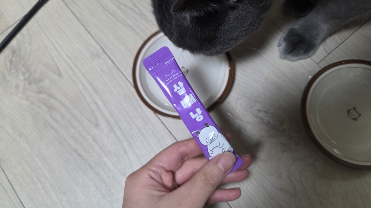  고양이영양제 유산균 추천 FITPET 살빼냥 후기