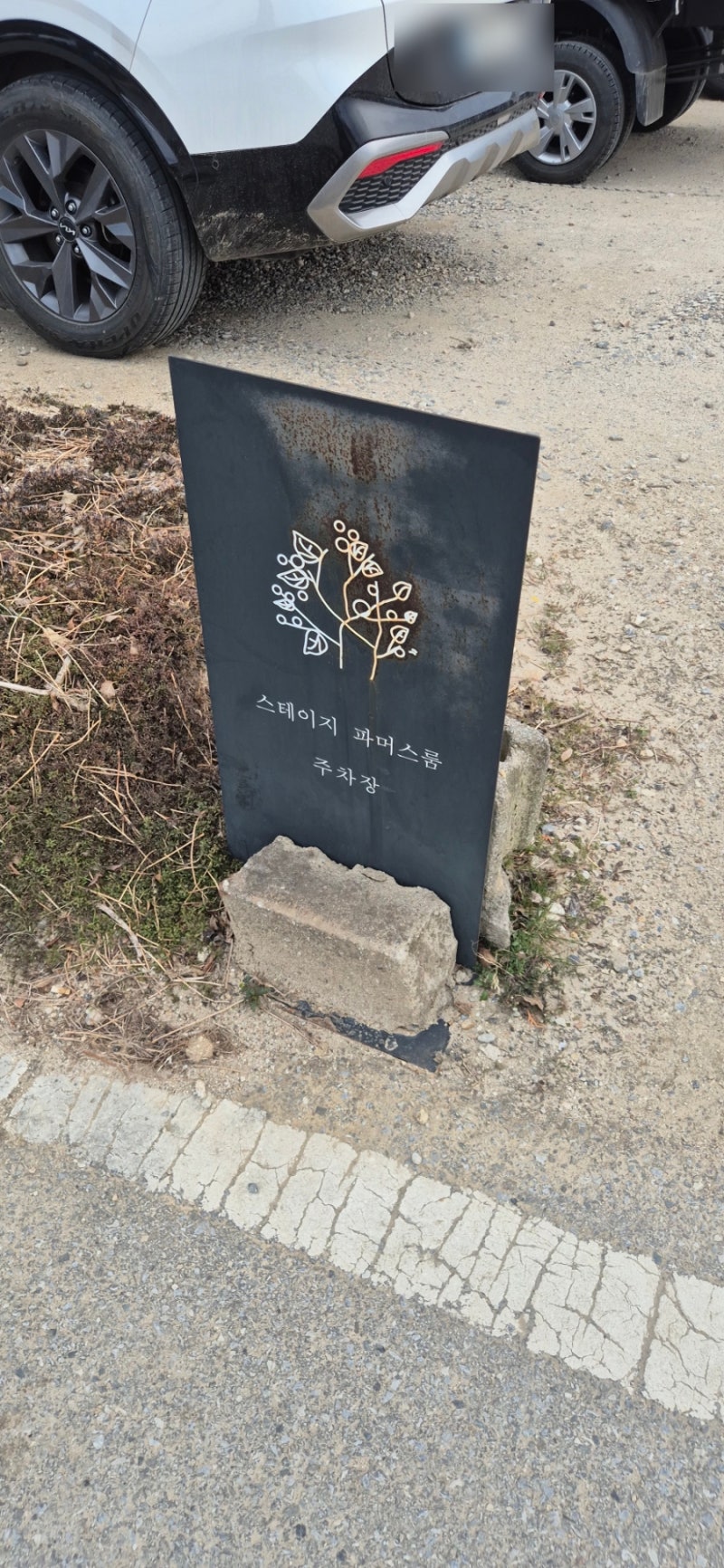 사진 4