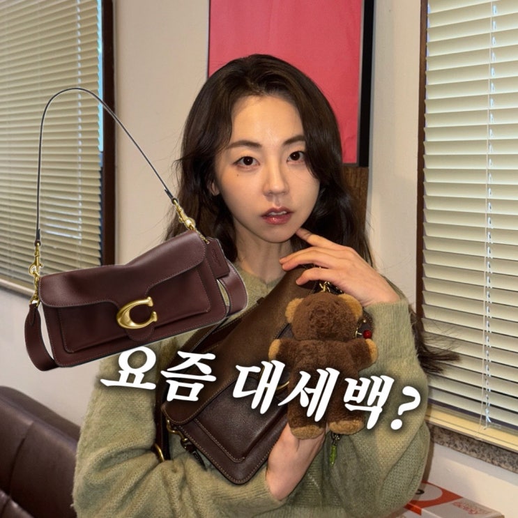  ”2030 환장하는“ 원더걸스 소희 가방, 코치 태비 숄더백 26 가격은?