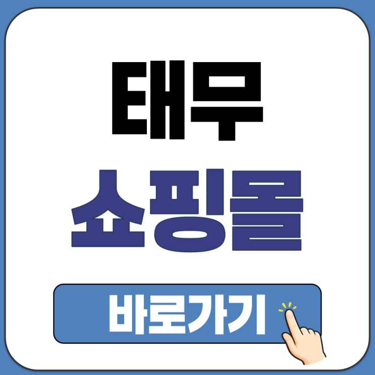  태무 쇼핑몰 바로가기 직구 할인 사이트 접속 주소와 앱 다운로드 경로 정리