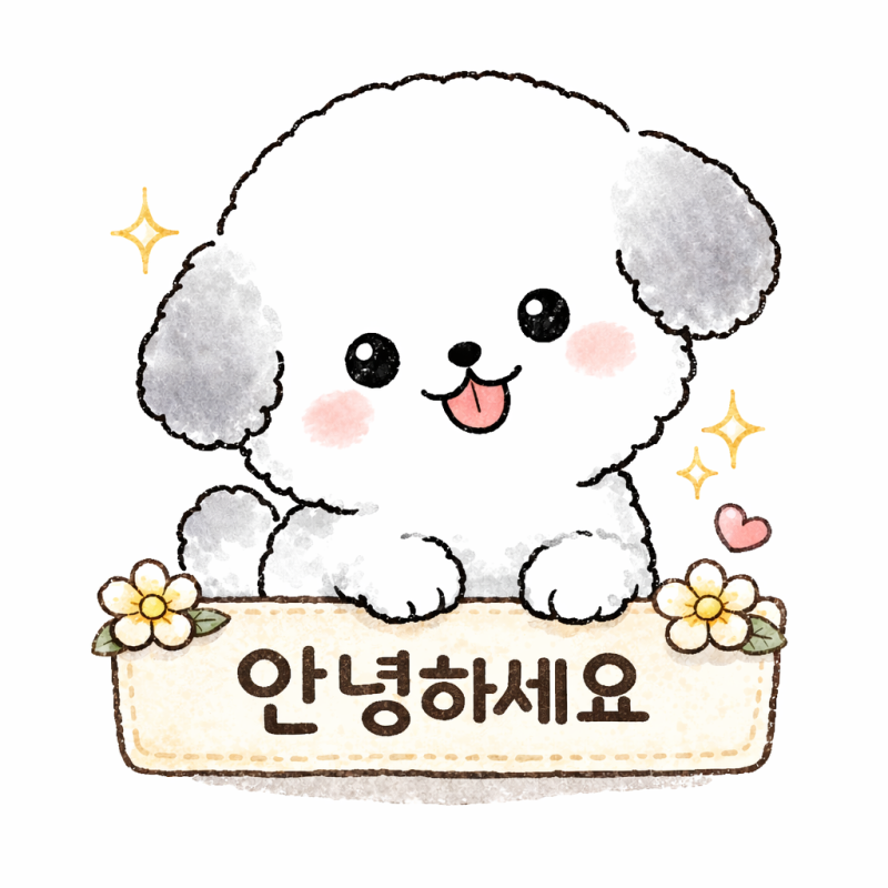 사진 4
