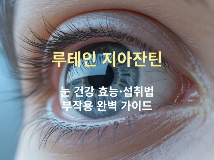  루테인 지아잔틴 A to Z: 눈 건강 효능·섭취법·부작용 완벽 가이드