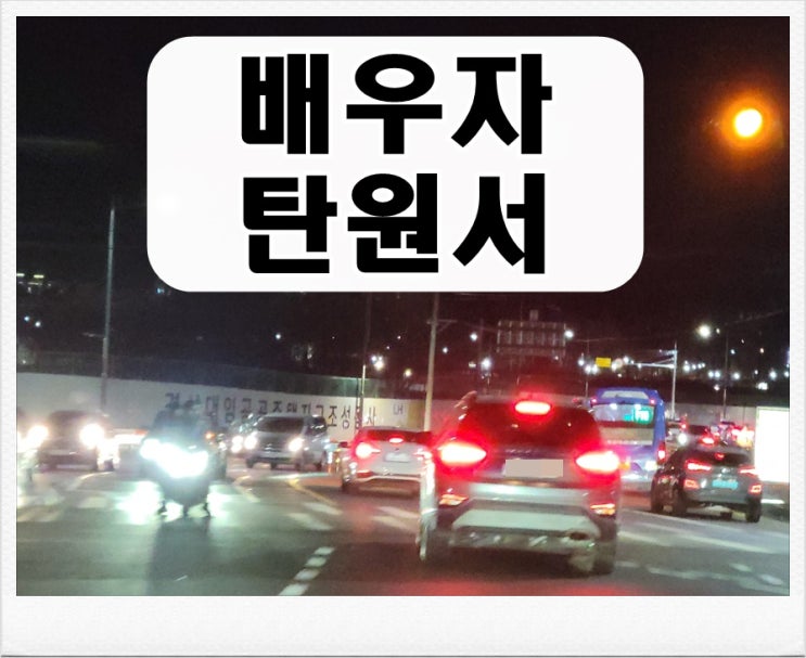  음주운전 배우자 탄원서 양식 예시 유의사항 총정리