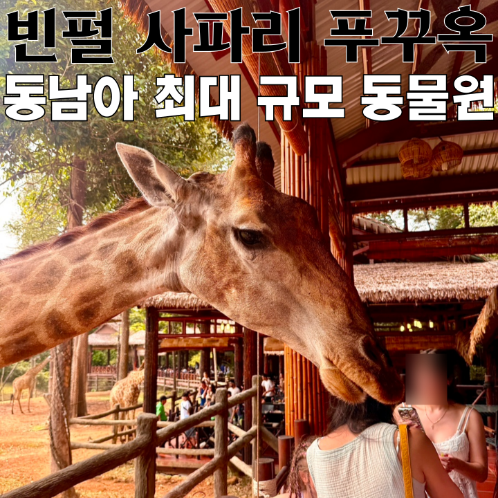  푸꾸옥 핫플 빈펄 사파리 푸꾸옥 : 동남아 최대 규모의 동물원 [베트남 푸꾸옥]