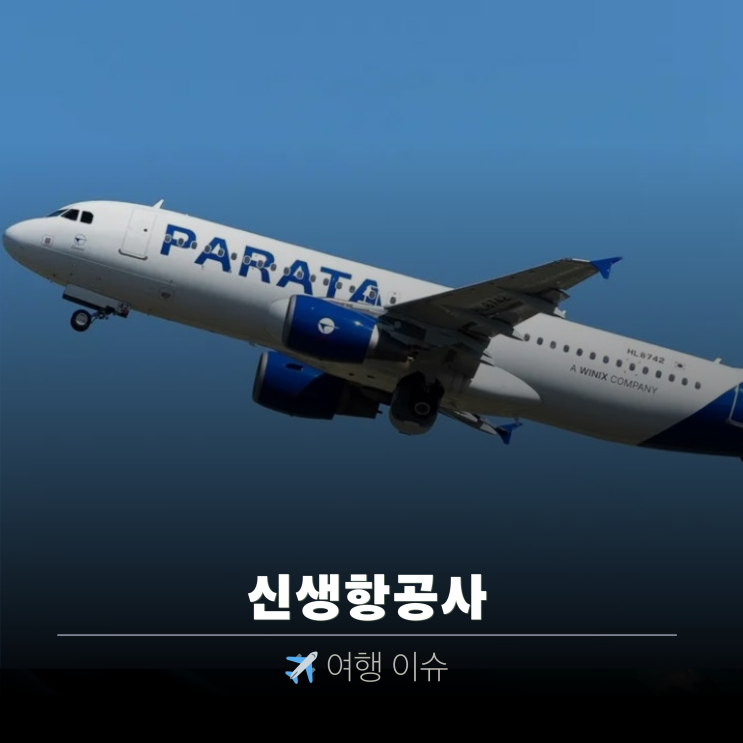  특가 항공권 뿌리는 파라타항공 | 신규취항 과연 괜찮을까?