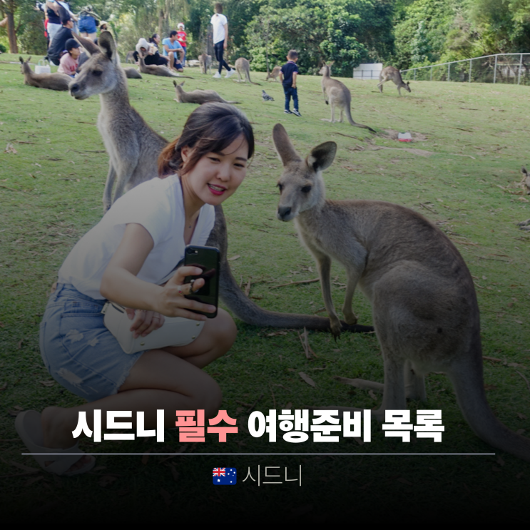  호주 시드니 여행 준비물 | 미리 신청하거나 준비해야할 것들