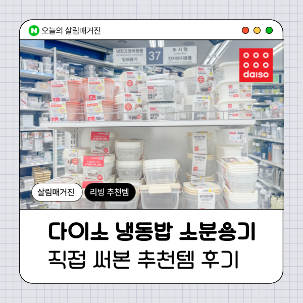 다이소 냉동밥 소분용기 직접 써본 추천템 후기