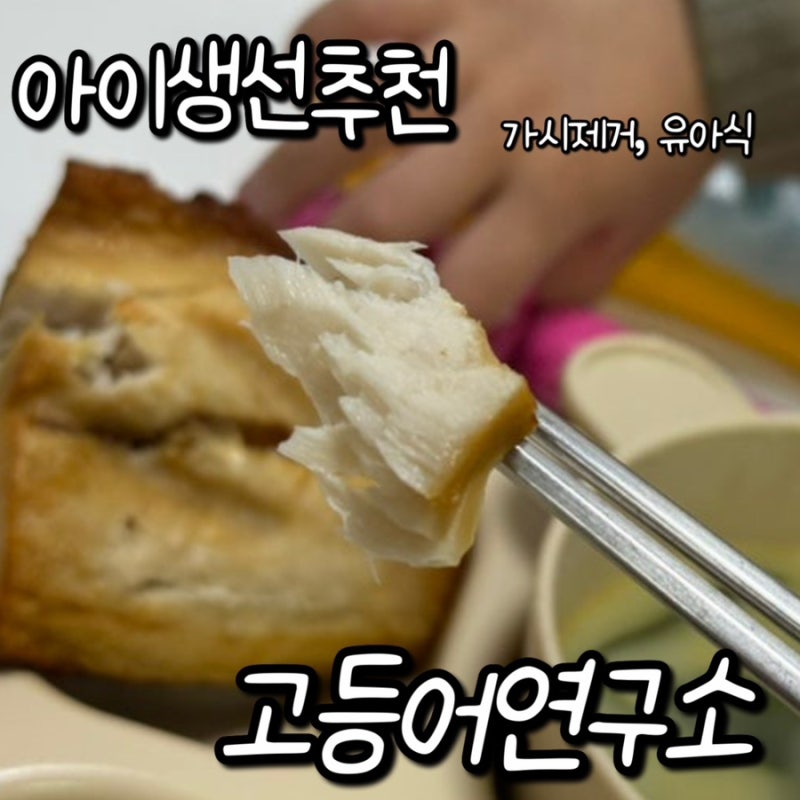 아이 이유식 가시제거 완료 생선 추천 고등어 연구소 순살 생선