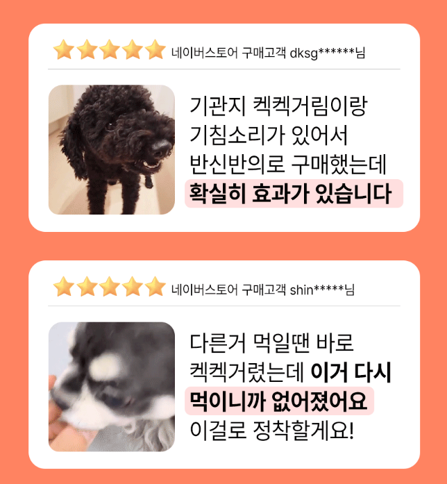  펫바우처 할인 기관지 협착증 영양제 링크 펫생각 소형견 말티푸 푸들 말티즈 추천