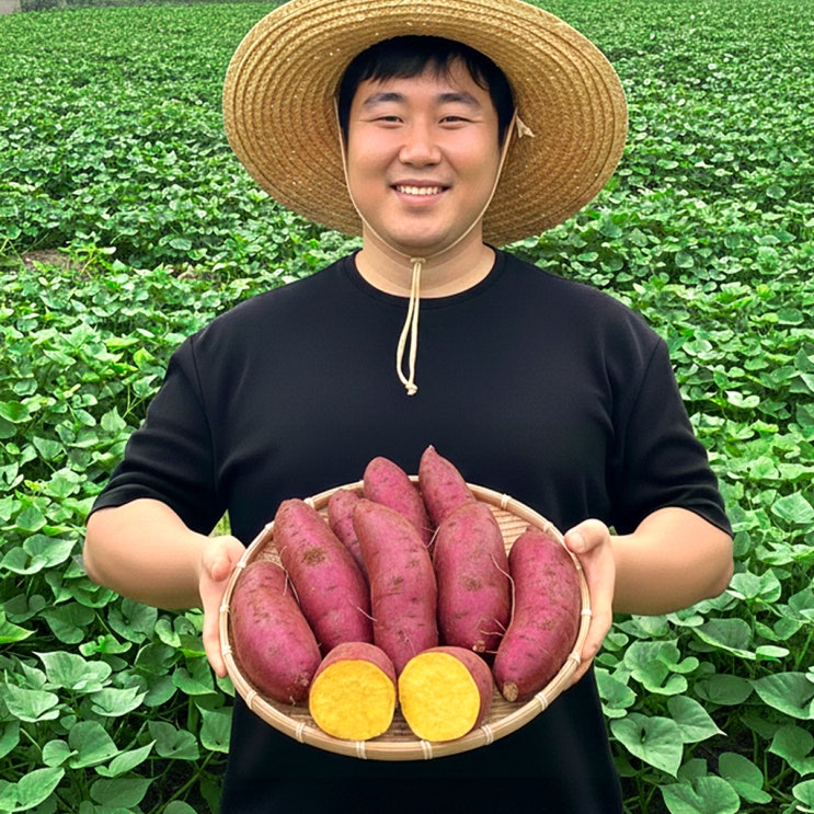 [최상품] 고구마 여주 꿀 베니하루카 밤 고구마 마사토 햇고구마 3kg 5kg [국산] 후기