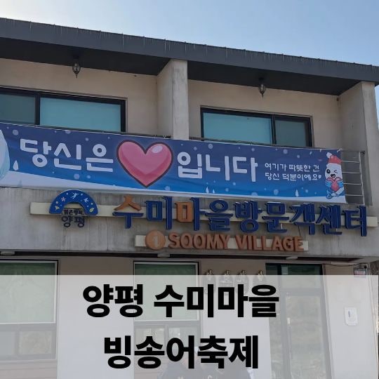  양평 수미마을 빙송어 축제 첫방문 후기