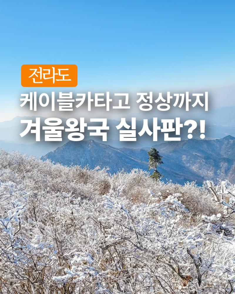 무주 덕유산 곤돌라 예약 가격 및 케이블카 할인, 이대로만 따라하세요!