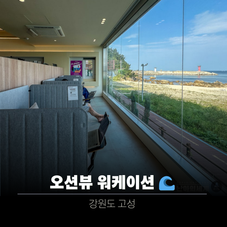  고성 숙소 추천 | 맹그로브 고성 워케이션 후기