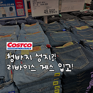 청바지 득템 성지 코스트코, 리바이스 514 725 게스 진 팬츠 남성 여성 브랜드 종류 가격 신상 ....