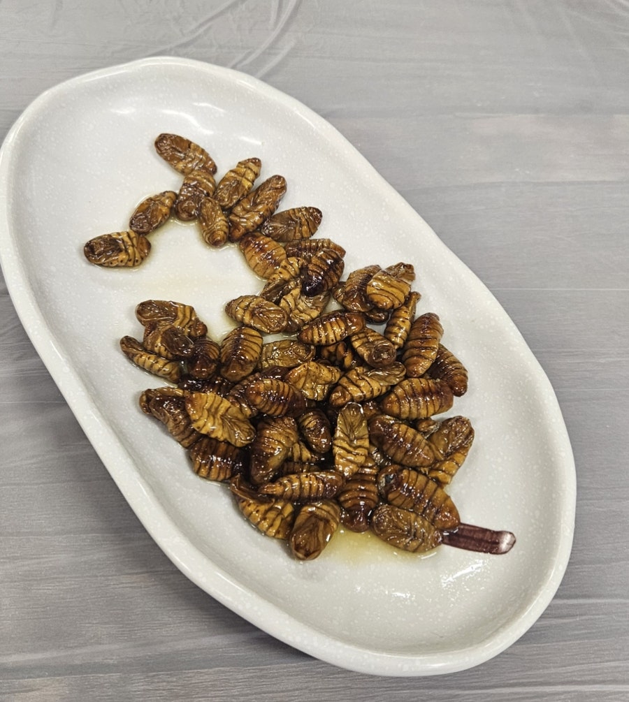 독도회사랑 사진 5