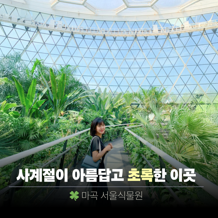  서울 가볼만한곳, 싱가포르 여행 온 듯, 데이트 코스 추천 | 서울식물원