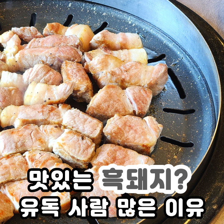  제주 크라운돼지부터 직접 가봤던 맛집 리스트 선물가게까지