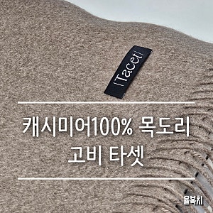 캐시미어 100% 고비 목도리 3년 사용 후기 고비 타셋 구매 후기