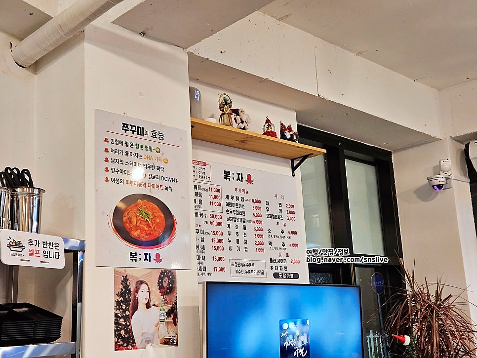 볶자 사진 5