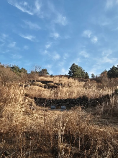 사진 3