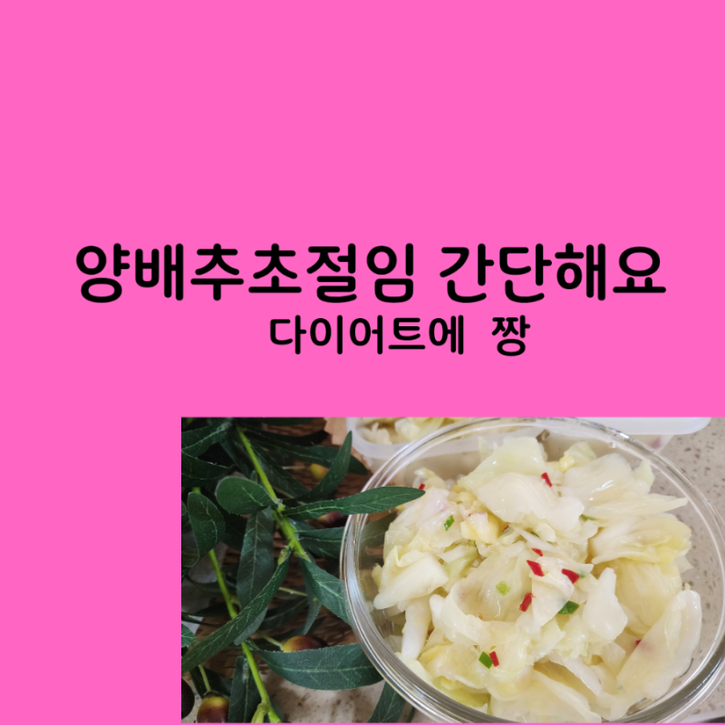 다이어트양배추 효능및 초절임김치만들기