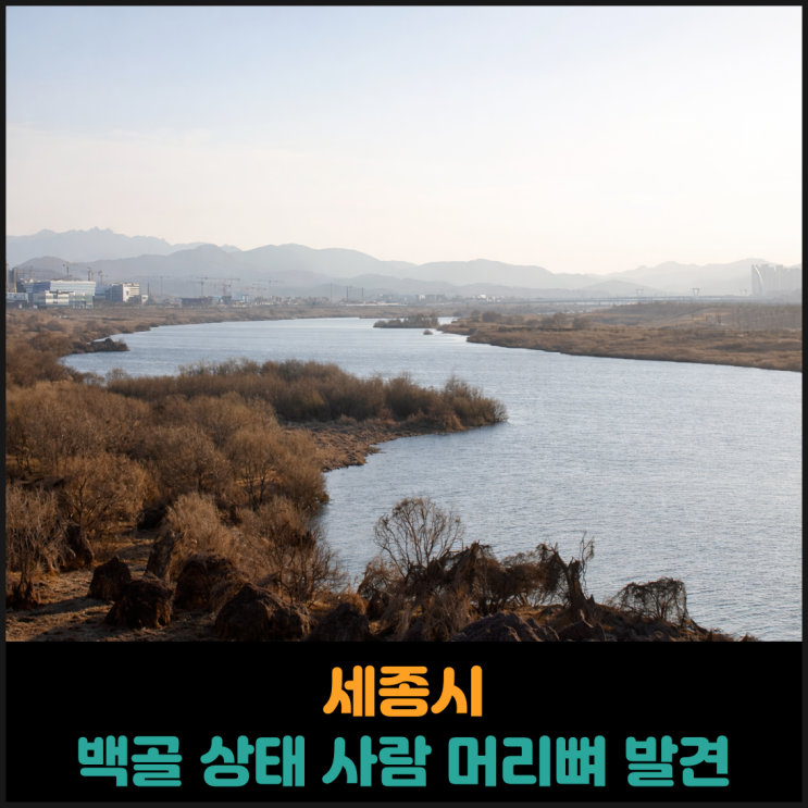  세종에서 백골 상태 사람 머리뼈 발견