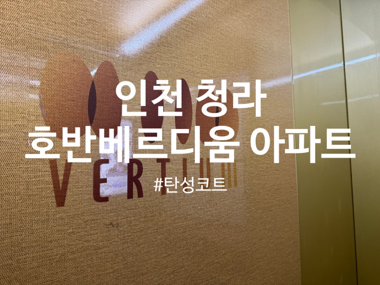  인천 청라 호반베르디움 아파트 탄성코트 시공 (달빛탄성)