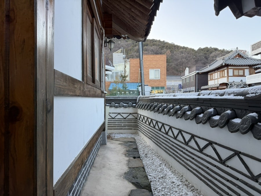 담담 사진 6