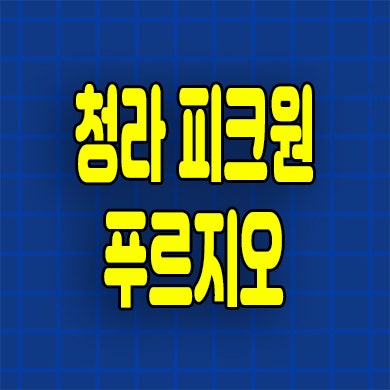  인천 청라동 대우 푸르지오 오피스텔 피크원 푸르지오 미분양 잔여세대
