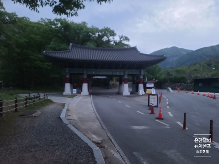 사진 9