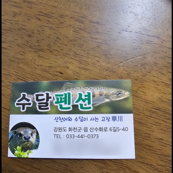 수달펜션 사진 1