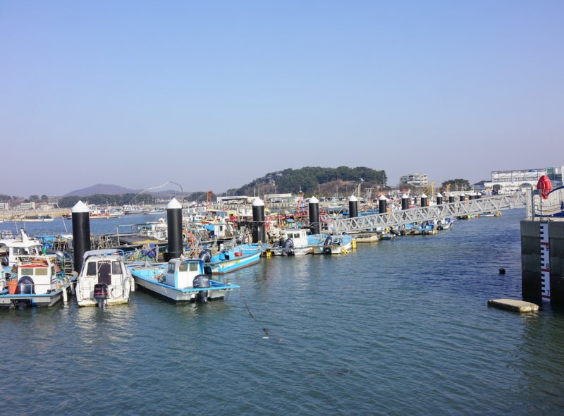 사진 3