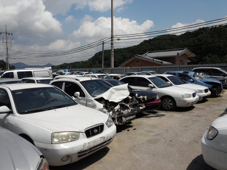  로디우스 조기폐차 곧 접수시작 예약가능합니다