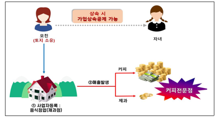  커피 팔아 상속세 0원? 국세청 '무늬만 베이커리' 칼을 휘두른다