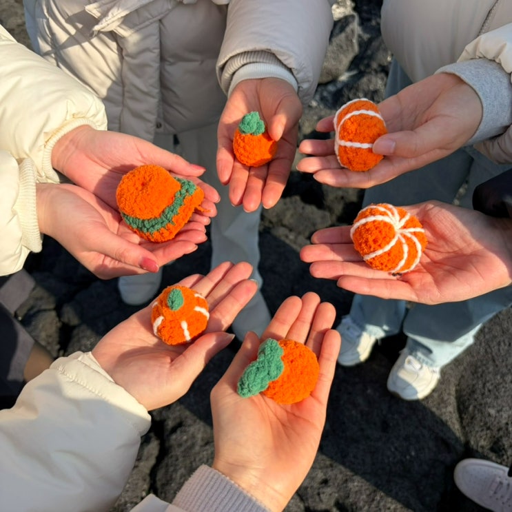  [가보기/제주도] 2박 3일 친구들과 제주 여행_️3일차: 서귀포쑥보리빵, 채훈이네 해장국 고사리 육개장, 협재해수욕장, 제주에서 대구