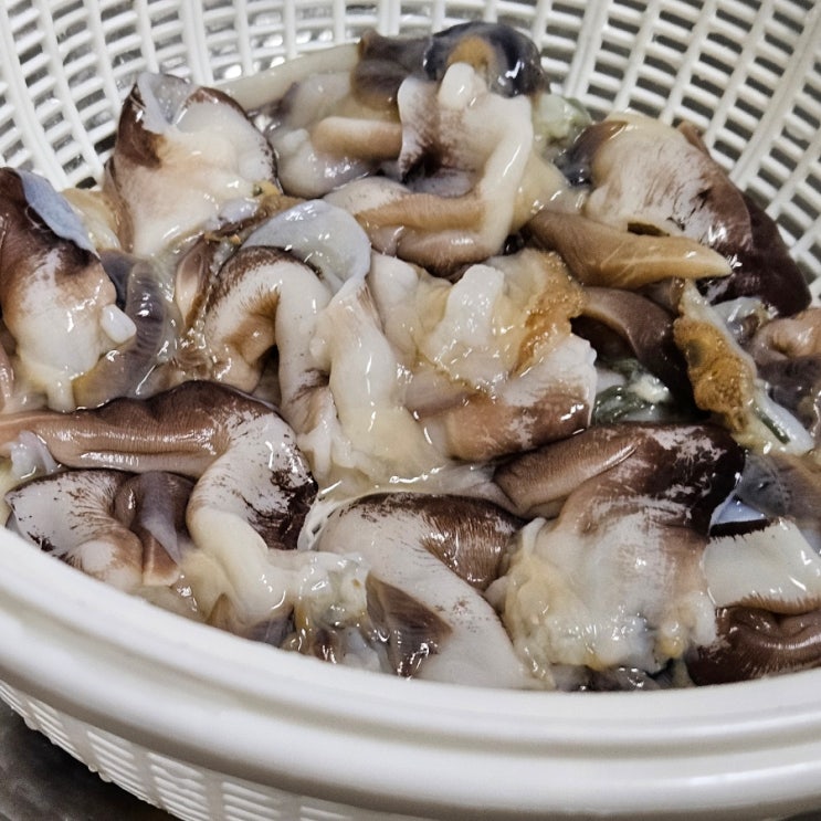  새조개 추천 신선하고 깨끗한 당일조업 산지직송 우람바당 여수 손질새조개