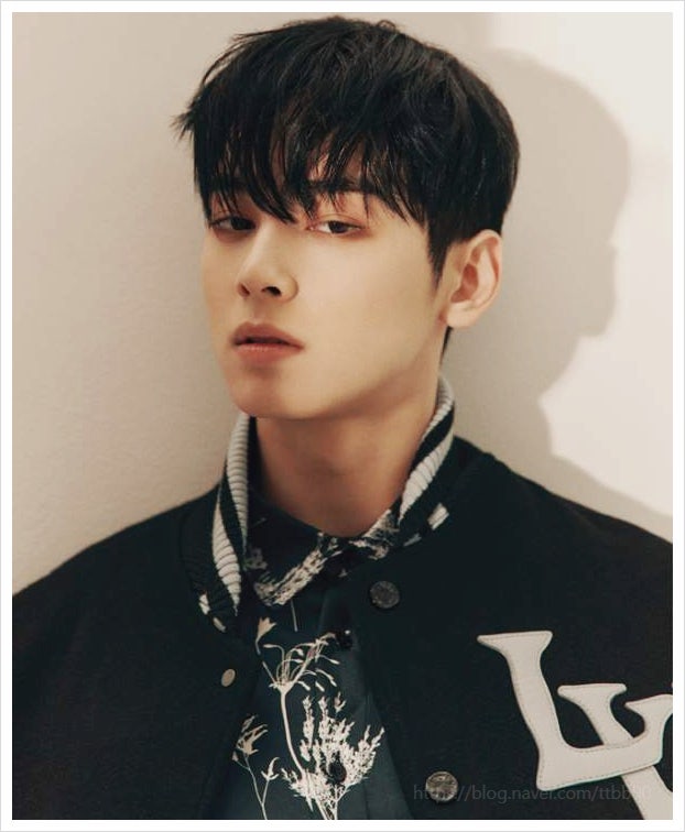 차은우 200억 탈세 추징금의 진실 국세청은 왜 어머니 회사를 저격했나? LLC와 과밀억제권역의 비밀