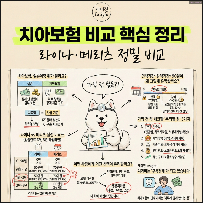 라이나 메리츠 치아보험 비교 : 면책기간·감액기간 핵심 정리