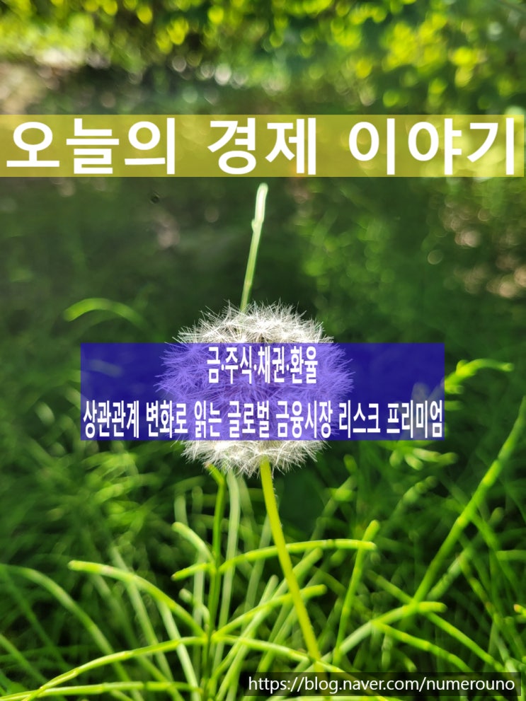  금·주식·채권·환율상관관계 변화로 읽는 글로벌 금융시장 리스크 프리미엄