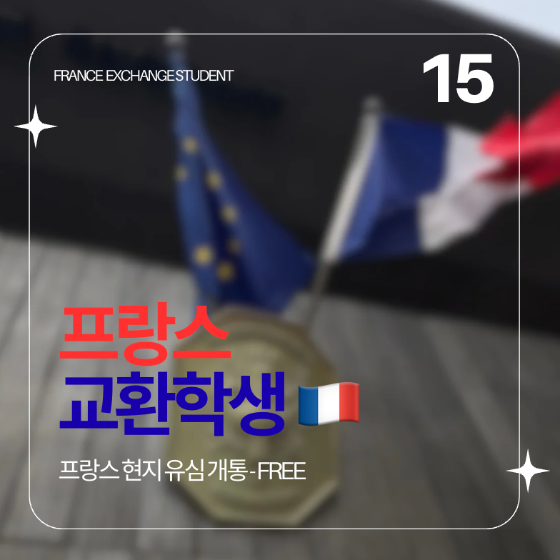 [프랑스 교환학생 #15] 프랑스 현지 유심 이심 통신사 FREE 프리 가입하기 (+연장 방법)