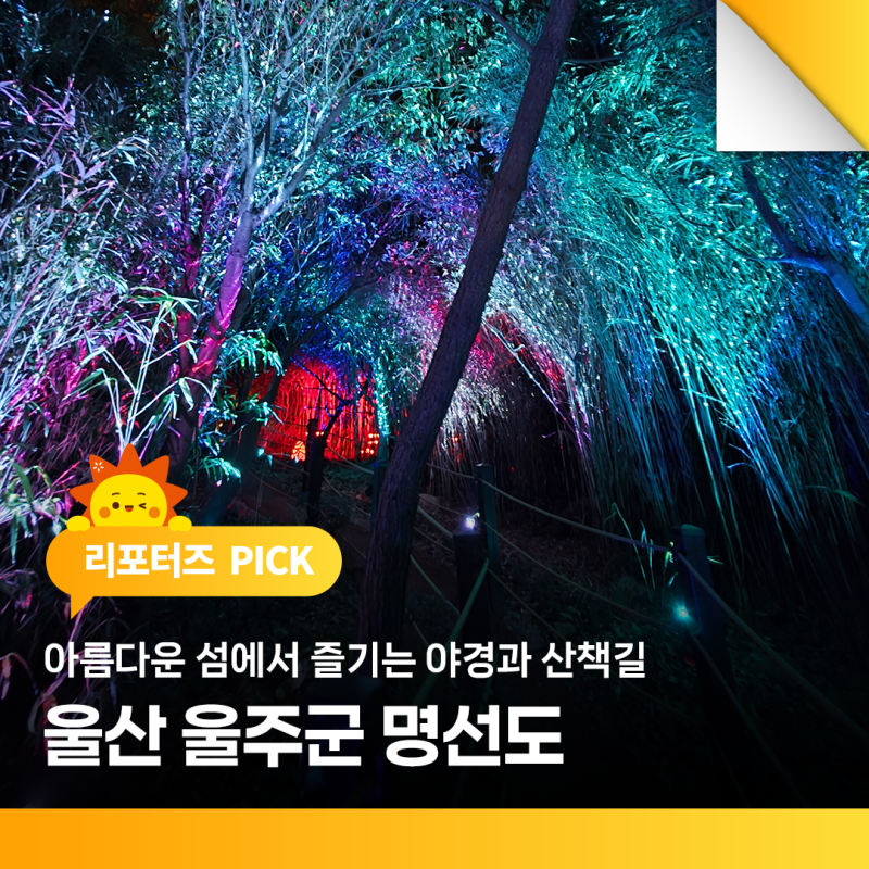 사진 5